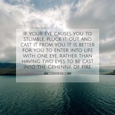 Picture 07 - Matthew 18:9 WEB - If your eye causes you to stumble, pluck it out, - Bible Verse Picture