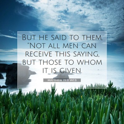 Picture 07 - Matthew 19:11 WEB - But he said to them, 