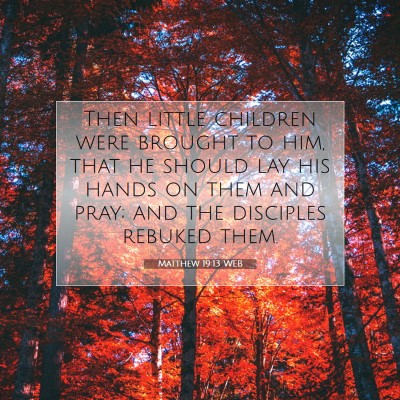 Picture 07 - Matthew 19:13 WEB - Then little children were brought to him, that he - Bible Verse Picture