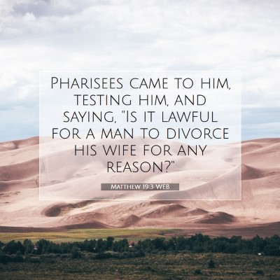 Picture 07 - Matthew 19:3 WEB - Pharisees came to him, testing him, and saying, - Bible Verse Picture