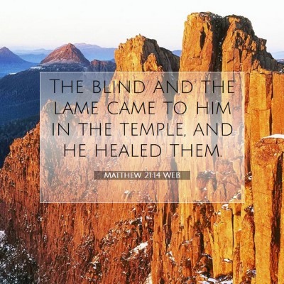 Picture 07 - Matthew 21:14 WEB - The blind and the lame came to him in the temple, - Bible Verse Picture
