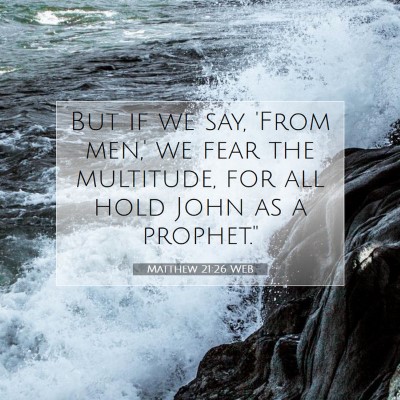 Picture 07 - Matthew 21:26 WEB - But if we say, 'From men,' we fear the multitude, - Bible Verse Picture