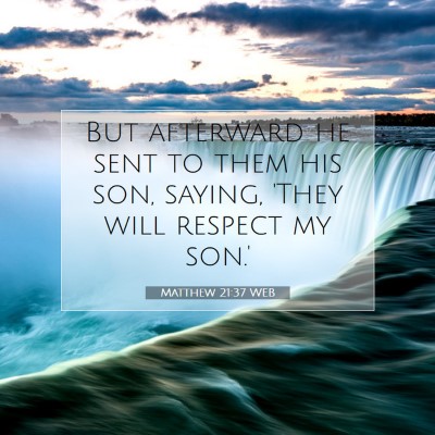 Picture 07 - Matthew 21:37 WEB - But afterward he sent to them his son, saying, - Bible Verse Picture