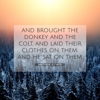 Picture 07 - Matthew 21:7 WEB - and brought the donkey and the colt, and laid - Bible Verse Picture