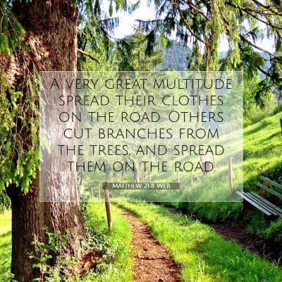 Picture 07 - Matthew 21:8 WEB - A very great multitude spread their clothes on - Bible Verse Picture