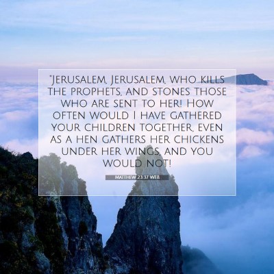 Picture 07 - Matthew 23:37 WEB - 