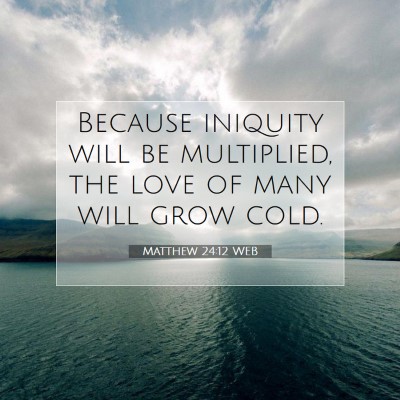 Picture 07 - Matthew 24:12 WEB - Because iniquity will be multiplied, the love of - Bible Verse Picture