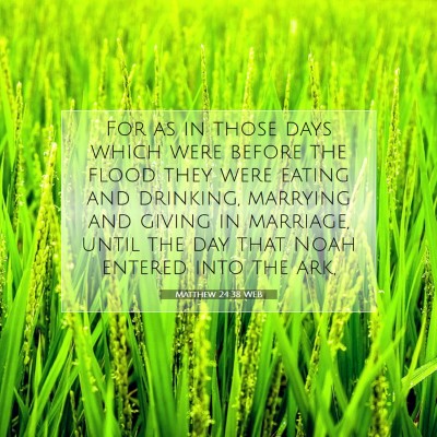 Picture 07 - Matthew 24:38 WEB - For as in those days which were before the flood - Bible Verse Picture
