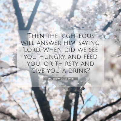 Picture 07 - Matthew 25:37 WEB - 