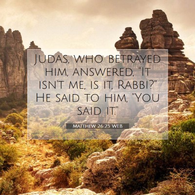 Picture 07 - Matthew 26:25 WEB - Judas, who betrayed him, answered, 