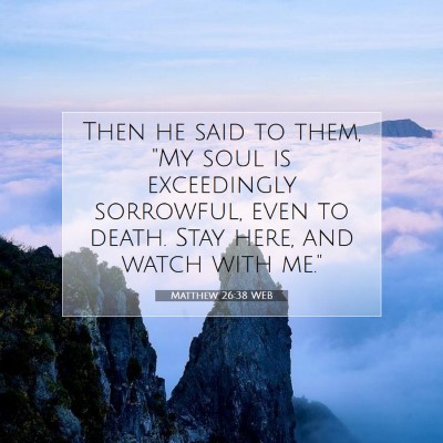 Picture 07 - Matthew 26:38 WEB - Then he said to them, 