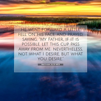 Picture 07 - Matthew 26:39 WEB - He went forward a little, fell on his face, and - Bible Verse Picture