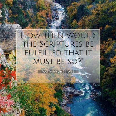 Picture 07 - Matthew 26:54 WEB - How then would the Scriptures be fulfilled that - Bible Verse Picture
