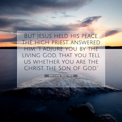 Picture 07 - Matthew 26:63 WEB - But Jesus held his peace. The high priest - Bible Verse Picture