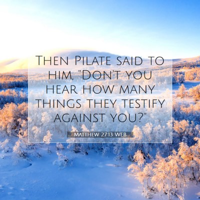 Picture 07 - Matthew 27:13 WEB - Then Pilate said to him, 