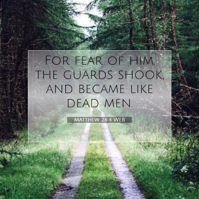 Picture 07 - Matthew 28:4 WEB - For fear of him, the guards shook, and became - Bible Verse Picture