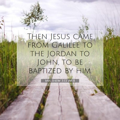 Picture 07 - Matthew 3:13 WEB - Then Jesus came from Galilee to the Jordan to - Bible Verse Picture