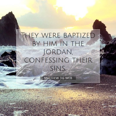 Picture 07 - Matthew 3:6 WEB - They were baptized by him in the Jordan, - Bible Verse Picture