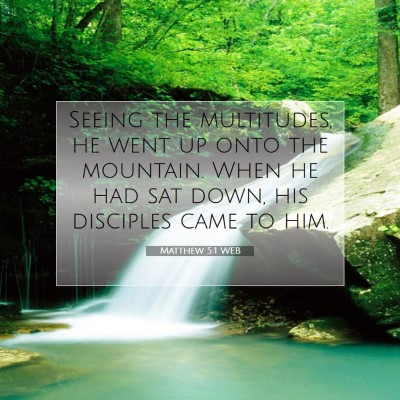 Picture 07 - Matthew 5:1 WEB - Seeing the multitudes, he went up onto the - Bible Verse Picture