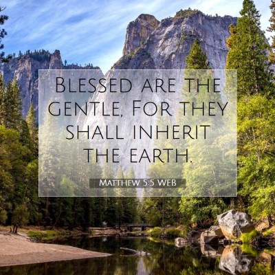 Picture 07 - Matthew 5:5 WEB - Blessed are the gentle, For they shall inherit - Bible Verse Picture