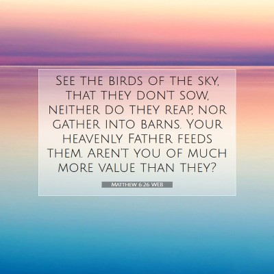 Picture 07 - Matthew 6:26 WEB - See the birds of the sky, that they don't sow, - Bible Verse Picture