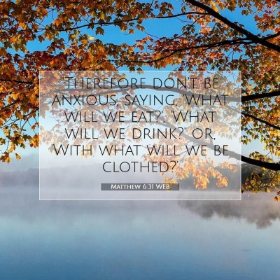 Picture 07 - Matthew 6:31 WEB - 