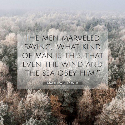 Picture 07 - Matthew 8:27 WEB - The men marveled, saying, 