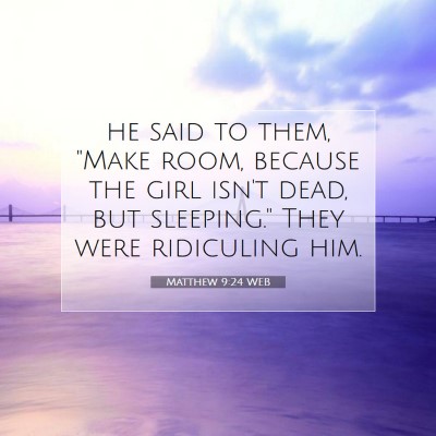 Picture 07 - Matthew 9:24 WEB - he said to them, 