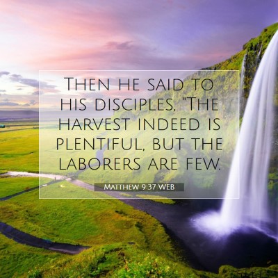 Picture 07 - Matthew 9:37 WEB - Then he said to his disciples, 