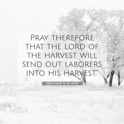 Picture 07 - Matthew 9:38 WEB - Pray therefore that the Lord of the harvest will - Bible Verse Picture