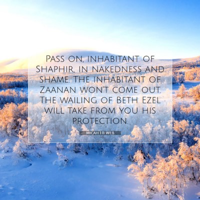 Picture 07 - Micah 1:11 WEB - Pass on, inhabitant of Shaphir, in nakedness and - Bible Verse Picture
