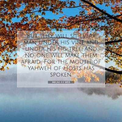 Picture 07 - Micah 4:4 WEB - But they will sit every man under his vine and - Bible Verse Picture