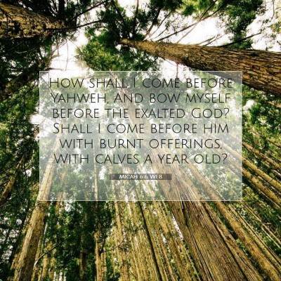 Picture 07 - Micah 6:6 WEB - How shall I come before Yahweh, And bow myself - Bible Verse Picture