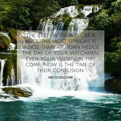 Picture 07 - Micah 7:4 WEB - The best of them is like a brier. The most - Bible Verse Picture