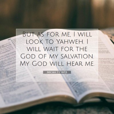 Picture 07 - Micah 7:7 WEB - But as for me, I will look to Yahweh. I will wait - Bible Verse Picture