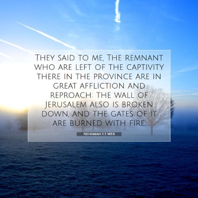 Picture 07 - Nehemiah 1:3 WEB - They said to me, The remnant who are left of the - Bible Verse Picture
