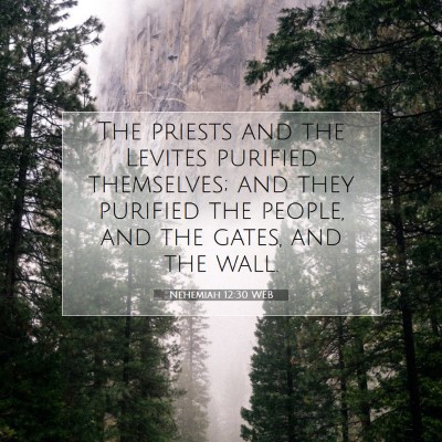 Picture 07 - Nehemiah 12:30 WEB - The priests and the Levites purified themselves; - Bible Verse Picture