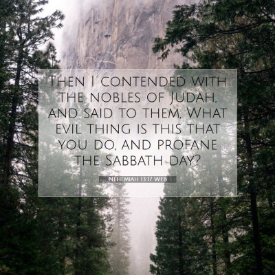 Picture 07 - Nehemiah 13:17 WEB - Then I contended with the nobles of Judah, and - Bible Verse Picture