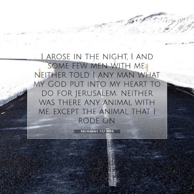 Picture 07 - Nehemiah 2:12 WEB - I arose in the night, I and some few men with me; - Bible Verse Picture