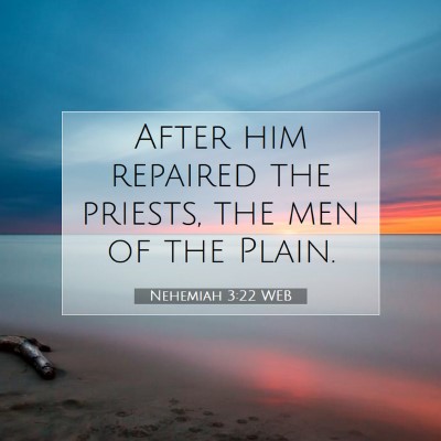 Picture 07 - Nehemiah 3:22 WEB - After him repaired the priests, the men of the - Bible Verse Picture