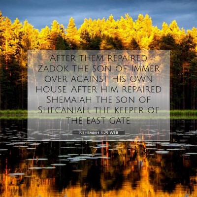 Picture 07 - Nehemiah 3:29 WEB - After them repaired Zadok the son of Immer over - Bible Verse Picture