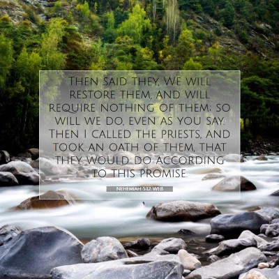 Picture 07 - Nehemiah 5:12 WEB - Then said they, We will restore them, and will - Bible Verse Picture
