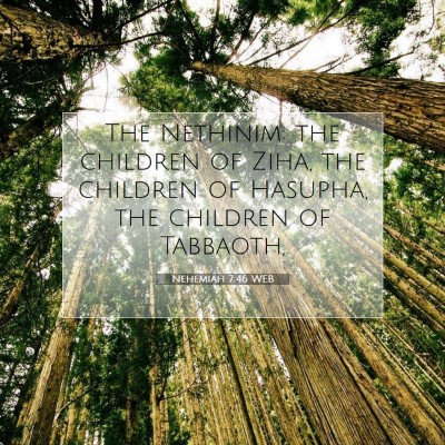 Picture 07 - Nehemiah 7:46 WEB - The Nethinim: the children of Ziha, the children - Bible Verse Picture