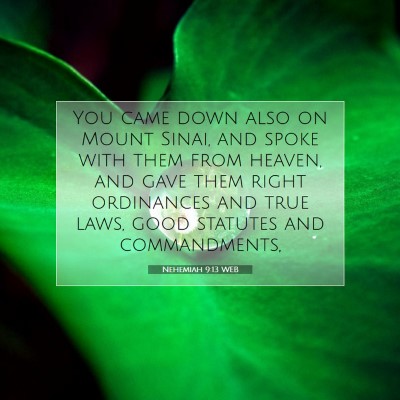Picture 07 - Nehemiah 9:13 WEB - You came down also on Mount Sinai, and spoke with - Bible Verse Picture