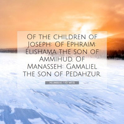 Picture 07 - Numbers 1:10 WEB - Of the children of Joseph: Of Ephraim: Elishama - Bible Verse Picture