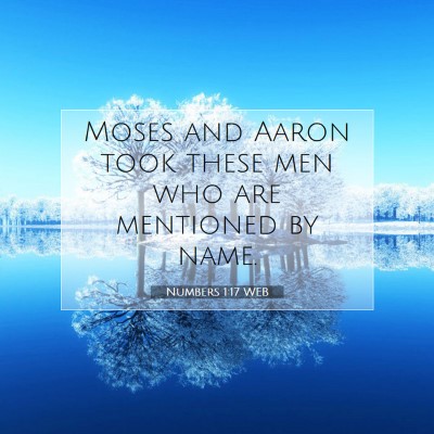 Picture 07 - Numbers 1:17 WEB - Moses and Aaron took these men who are mentioned - Bible Verse Picture