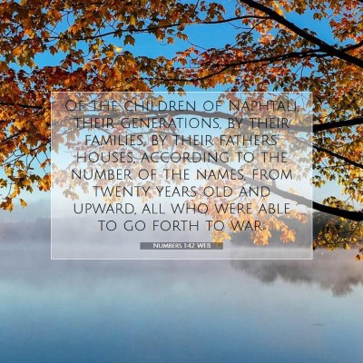 Picture 07 - Numbers 1:42 WEB - Of the children of Naphtali, their generations, - Bible Verse Picture