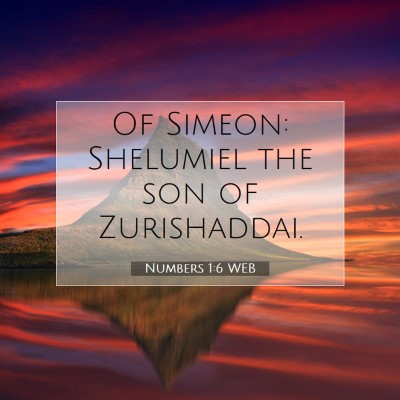 Picture 07 - Numbers 1:6 WEB - Of Simeon: Shelumiel the son of - Bible Verse Picture