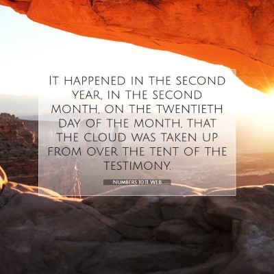 Picture 07 - Numbers 10:11 WEB - It happened in the second year, in the second - Bible Verse Picture