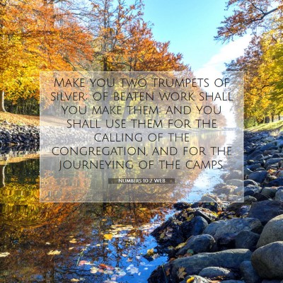 Picture 07 - Numbers 10:2 WEB - Make you two trumpets of silver; of beaten work - Bible Verse Picture